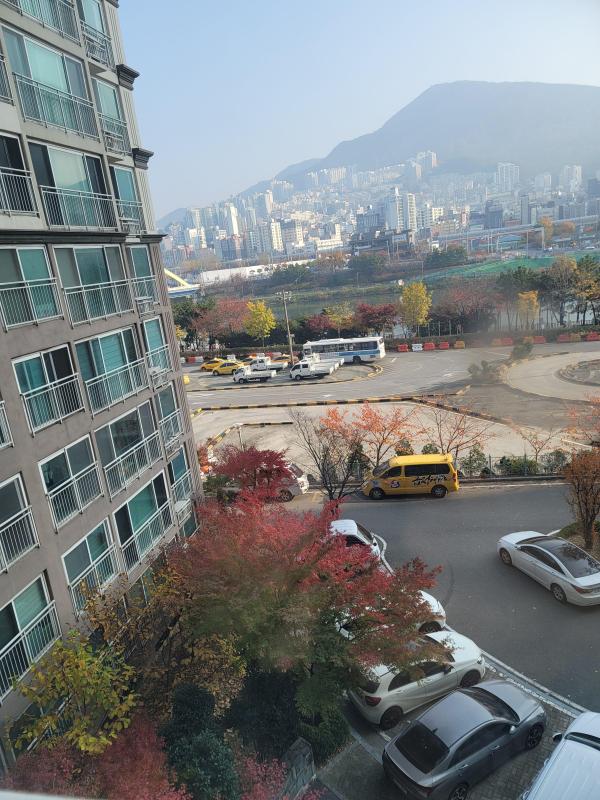 컨텐츠파일