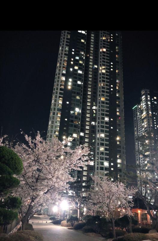 컨텐츠파일