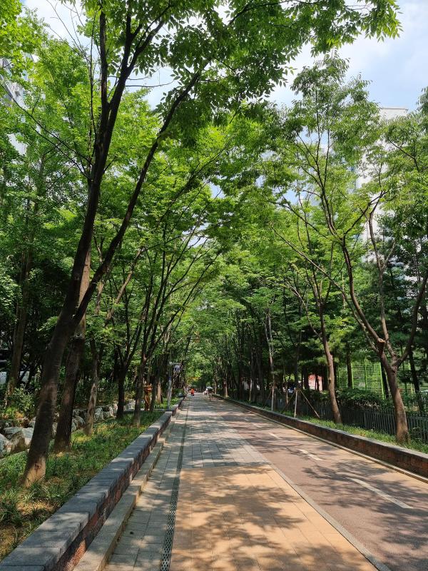 아이사랑