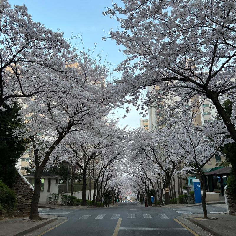 사용자5MQ0Q