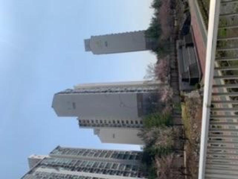 컨텐츠파일