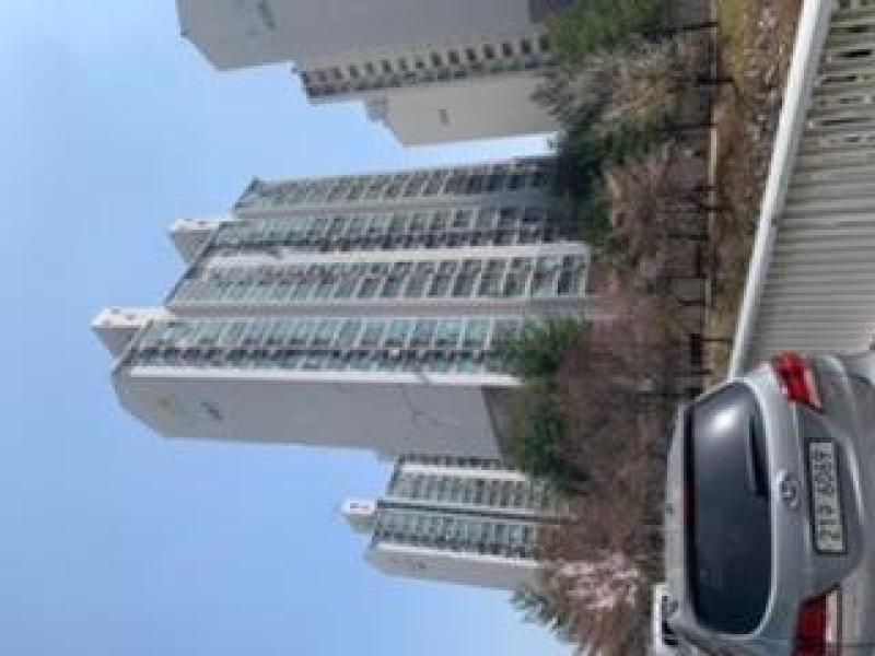 컨텐츠파일