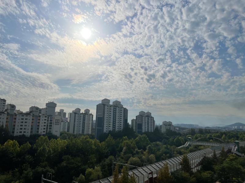 컨텐츠파일
