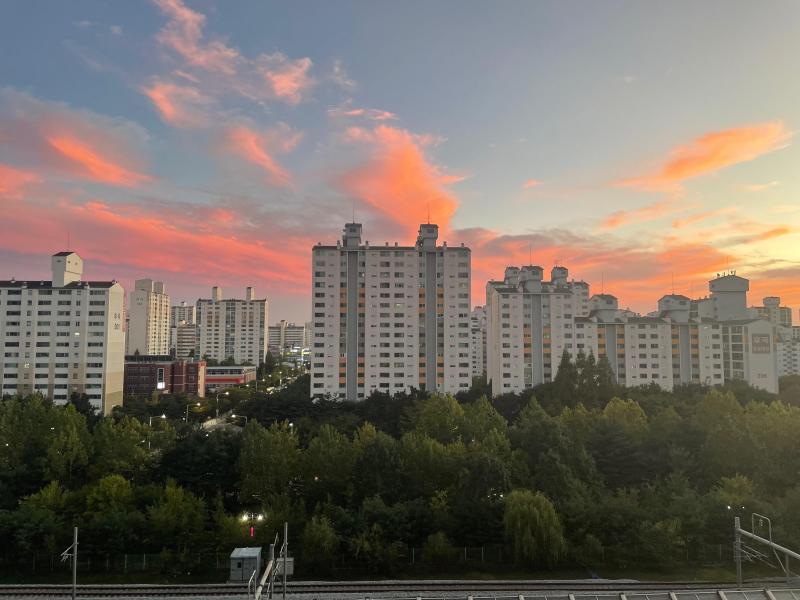 컨텐츠파일
