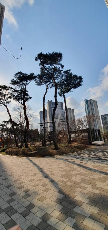 컨텐츠파일