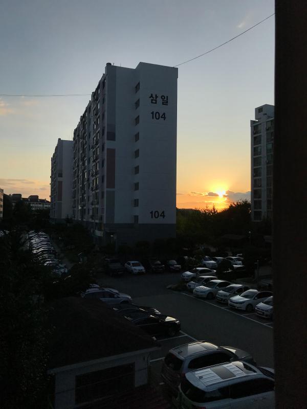 복숭아숭아