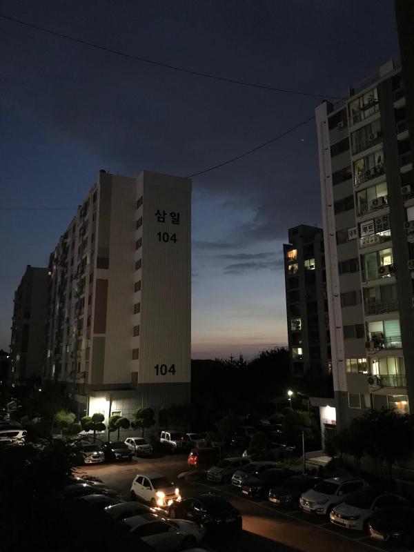 복숭아숭아