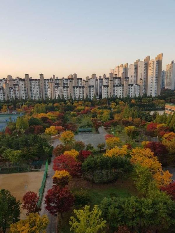장유경