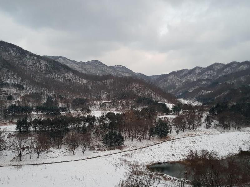 정은숙