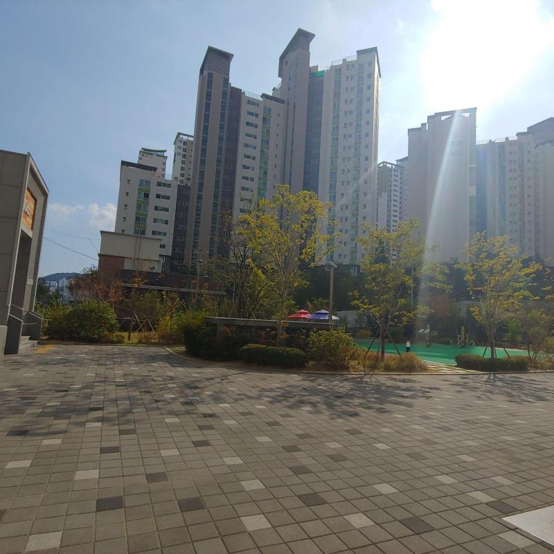 컨텐츠파일