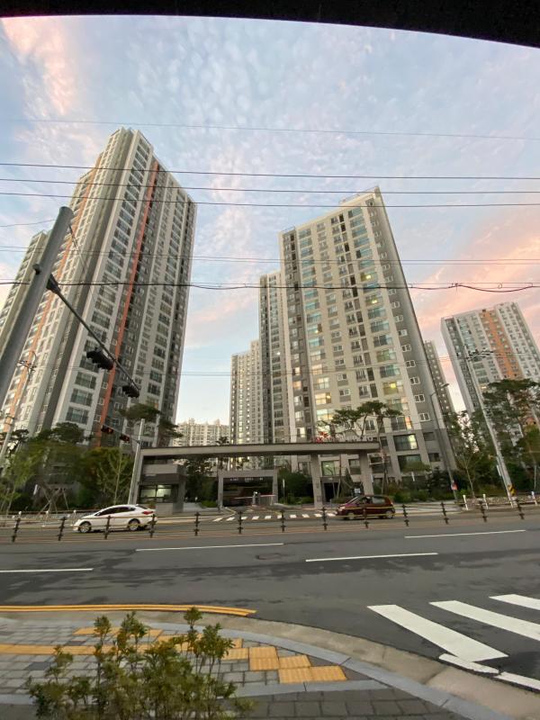 구천도사