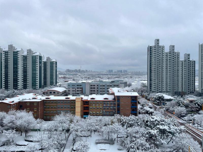 컨텐츠파일