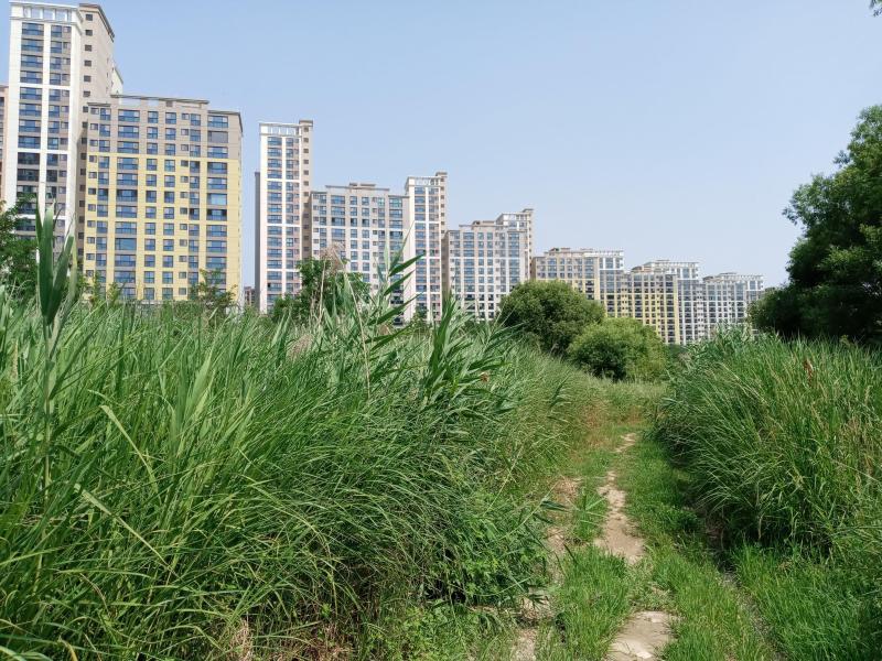 15년돌도사