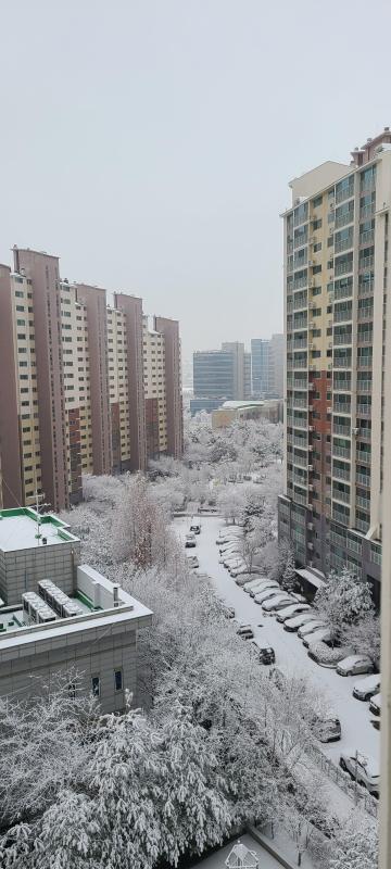 컨텐츠파일