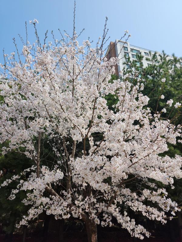 컨텐츠파일