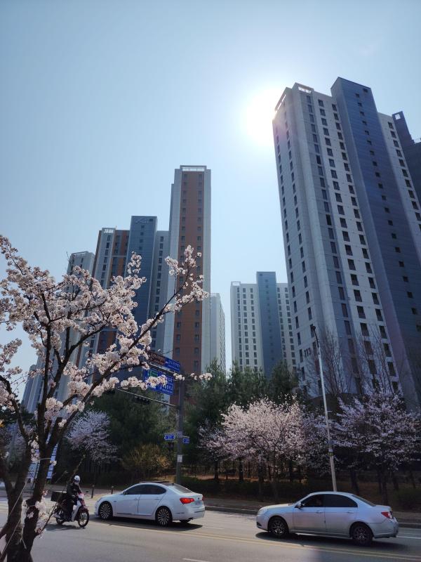 컨텐츠파일