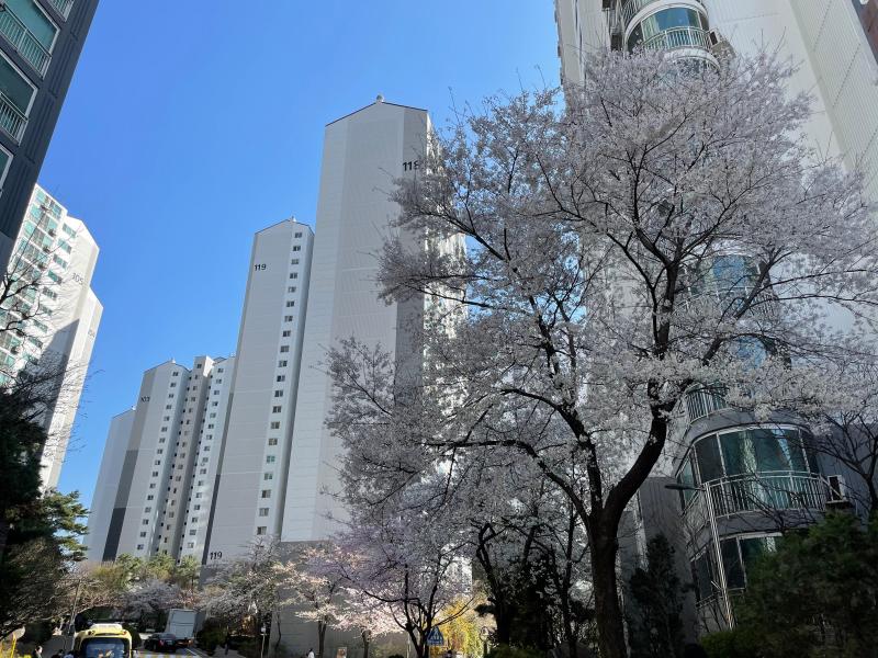 관푸