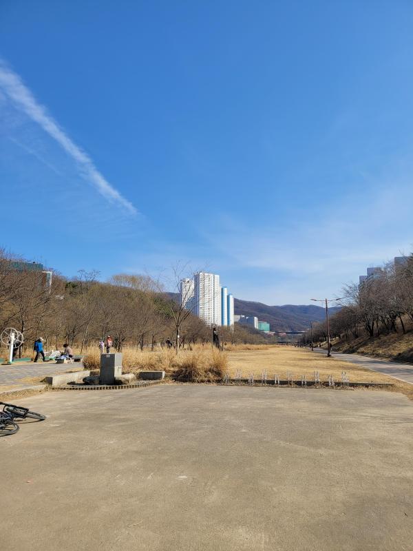 컨텐츠파일