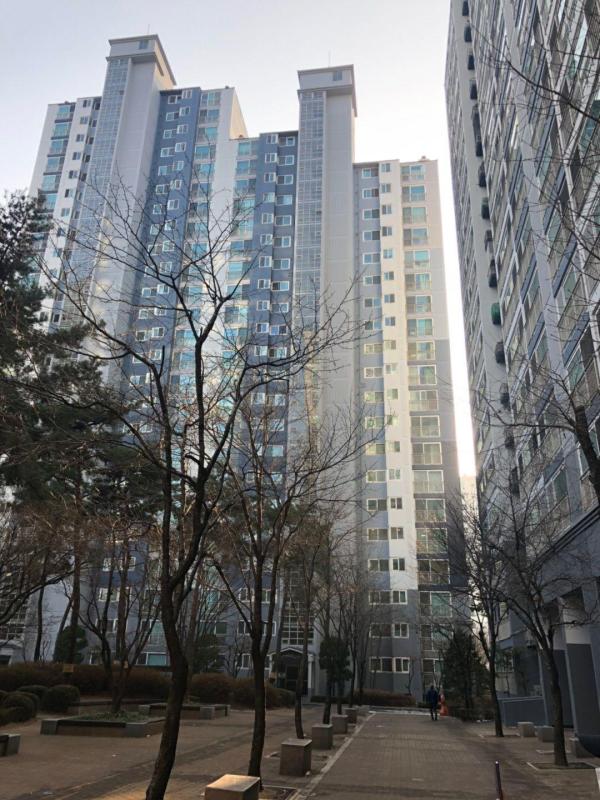 컨텐츠파일