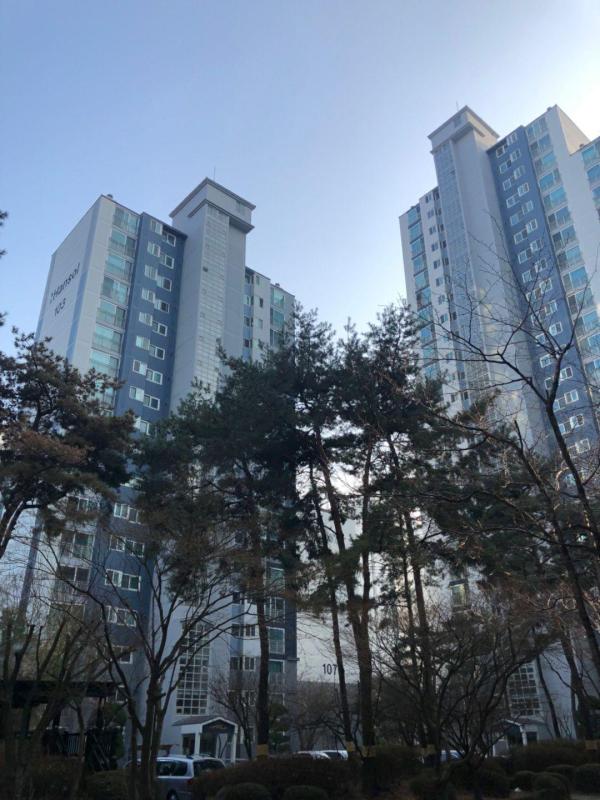 컨텐츠파일