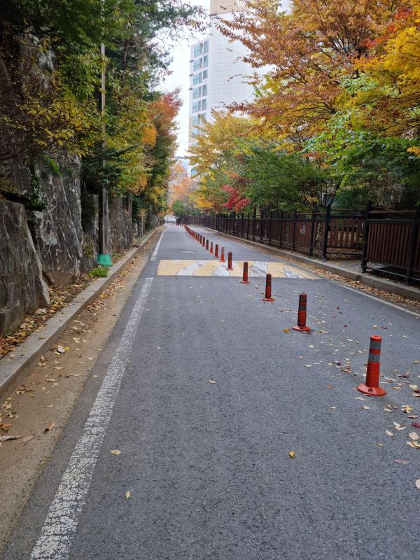 컨텐츠파일