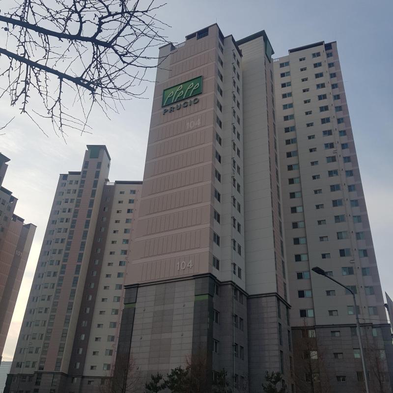 컨텐츠파일