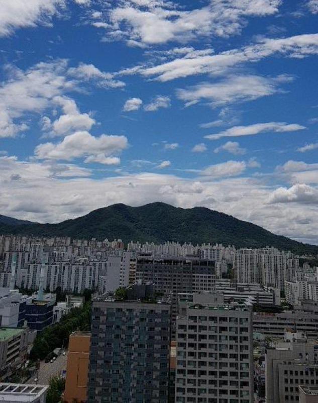 컨텐츠파일