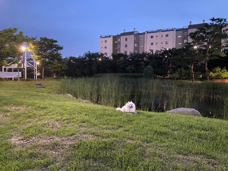 컨텐츠파일