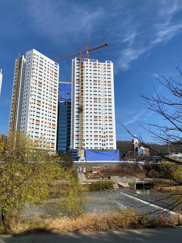 컨텐츠파일