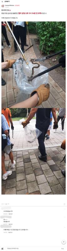 컨텐츠파일