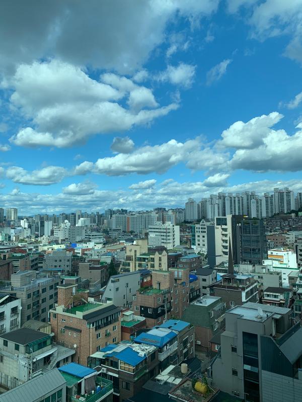 오렌지