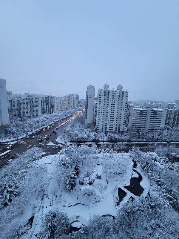 컨텐츠파일