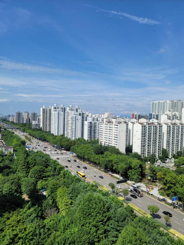 컨텐츠파일