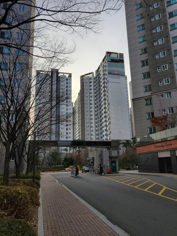 코피나