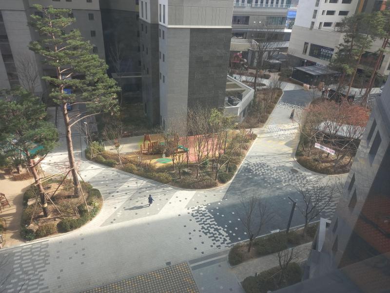 레모나