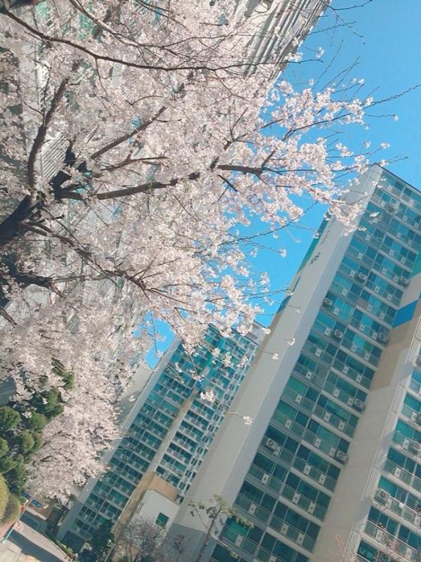 1 년 살았어요