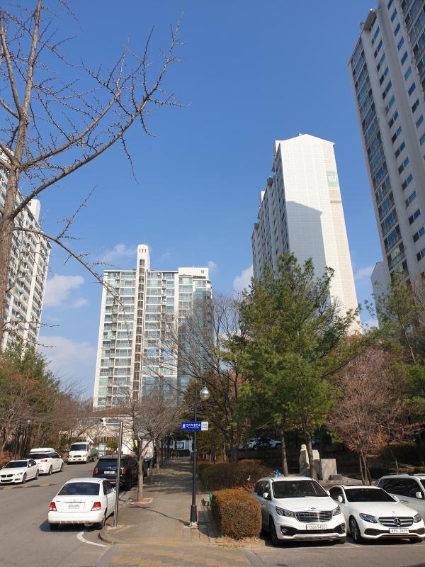 컨텐츠파일