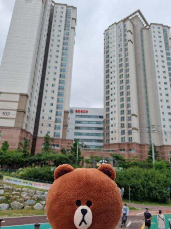 컨텐츠파일