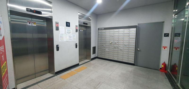 컨텐츠파일
