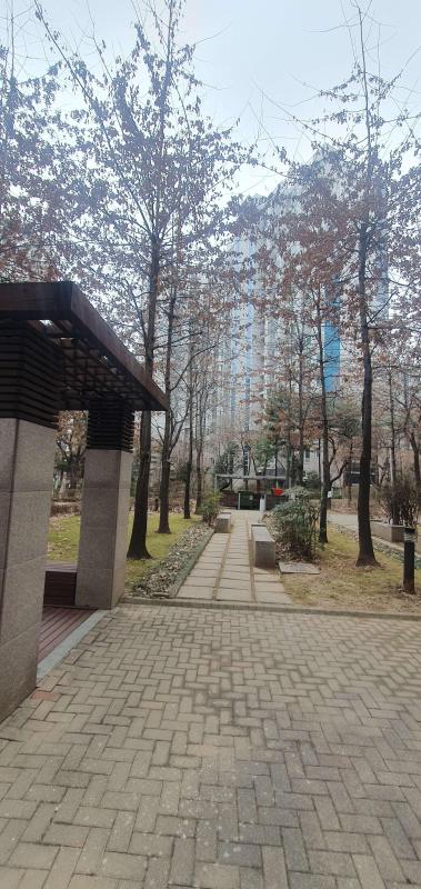 컨텐츠파일