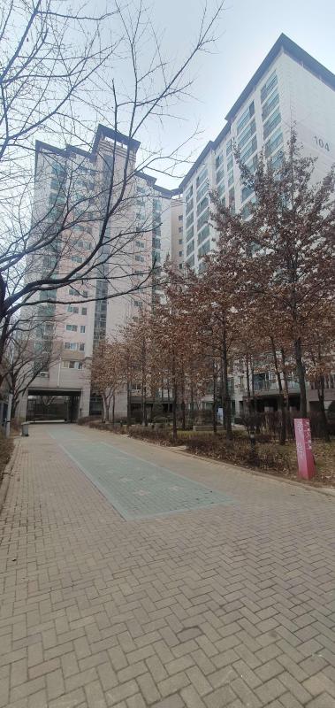 컨텐츠파일