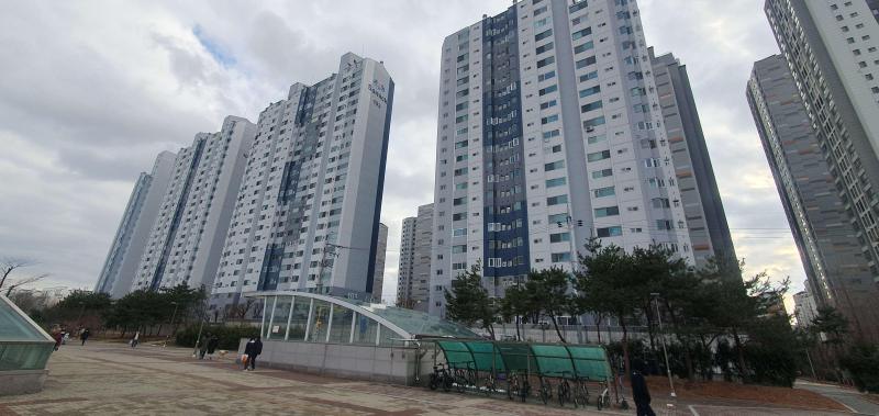 컨텐츠파일