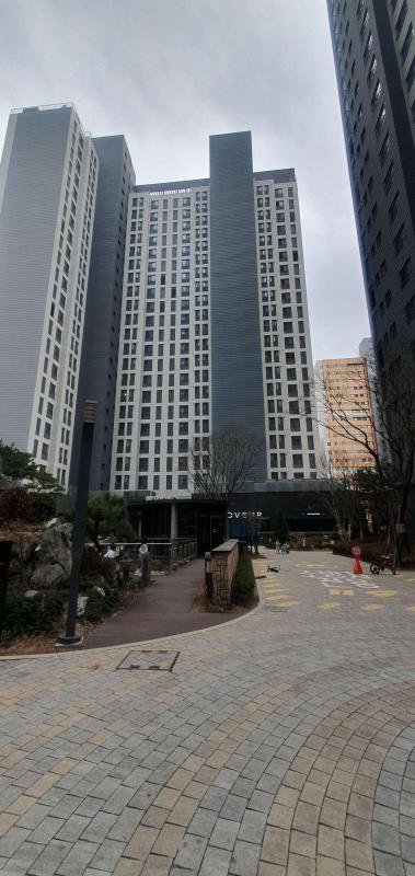 컨텐츠파일