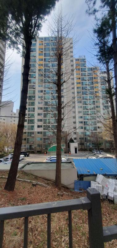 컨텐츠파일