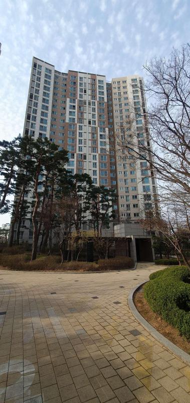 컨텐츠파일