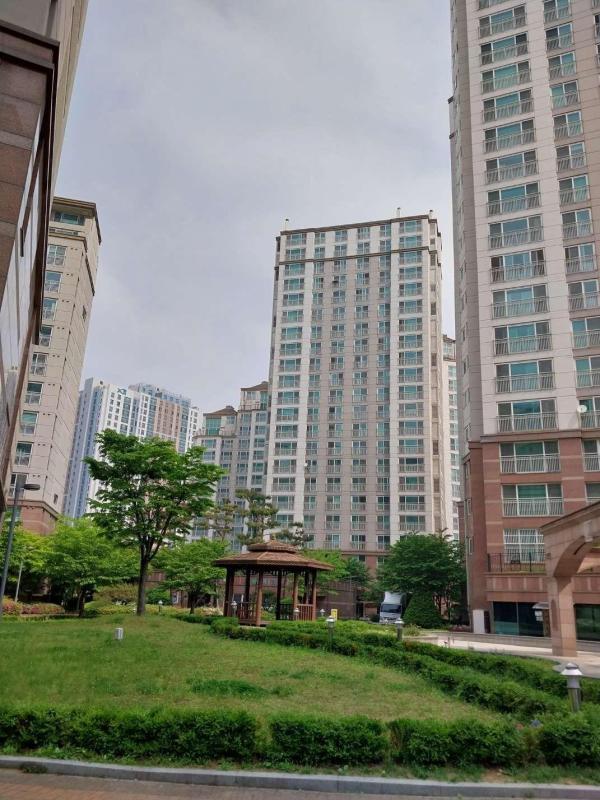 컨텐츠파일