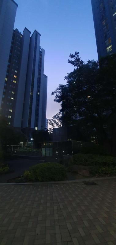 컨텐츠파일