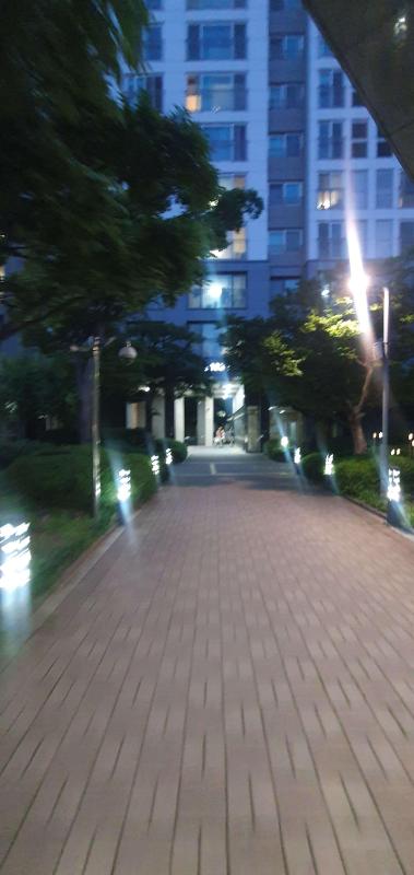 컨텐츠파일