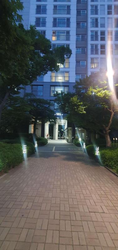 컨텐츠파일