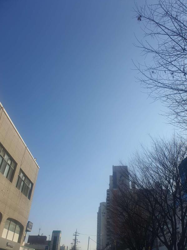 컨텐츠파일